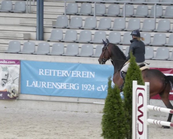 Reitturnier Aachen 2023