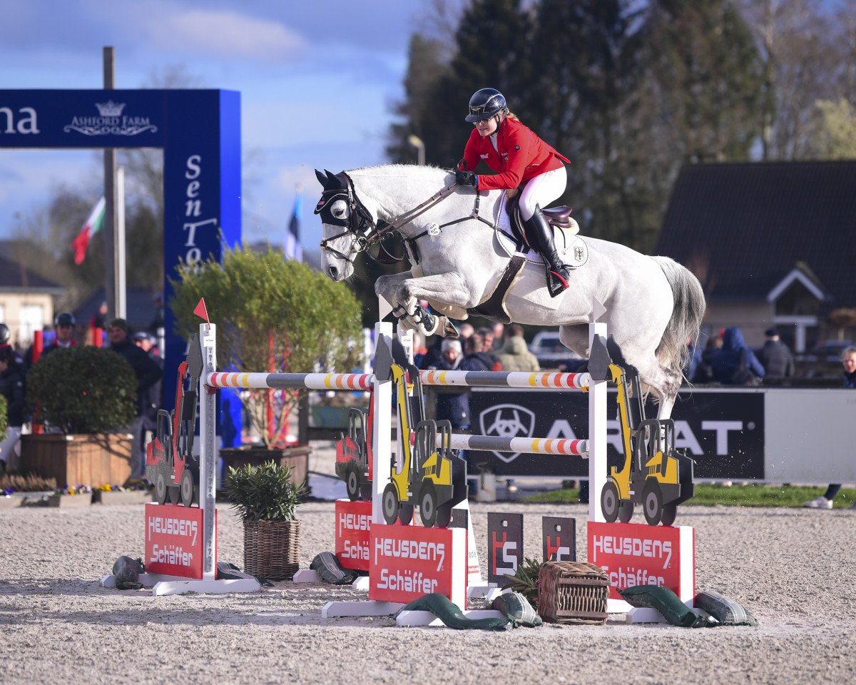jumper Cutest Tabou (Holsteiner, 2011, from Clinton I)