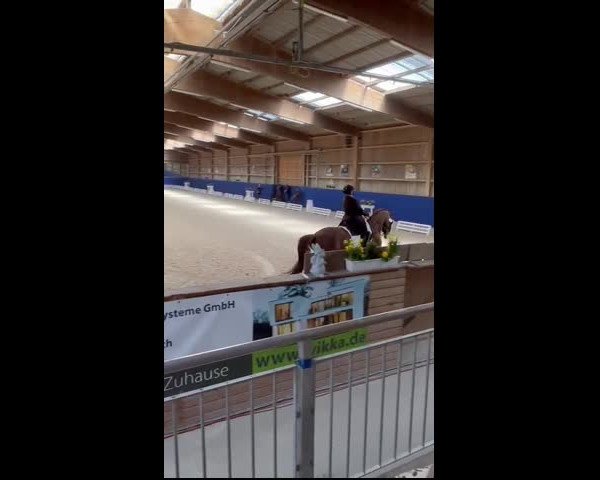 Reitturnier Zeutern-Martinushof 2023