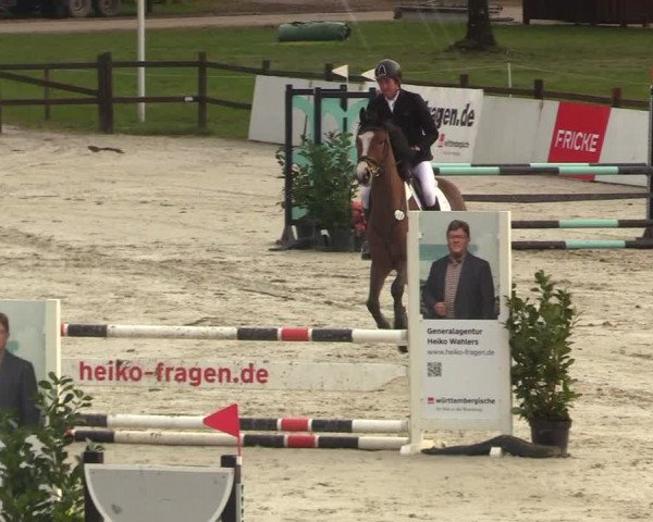 Reitturnier Westergellersen 2023