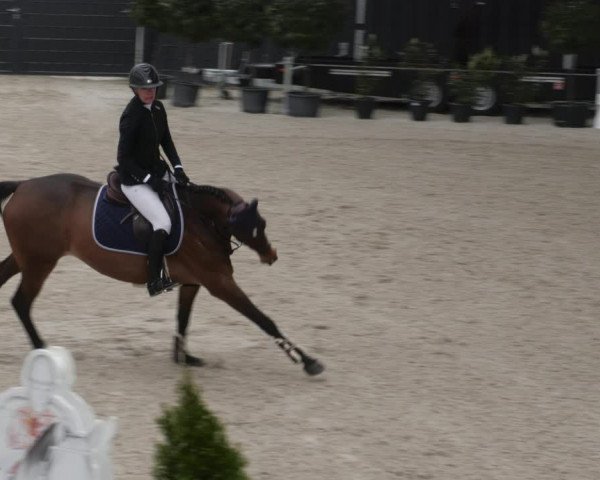 Reitturnier Aachen 2023