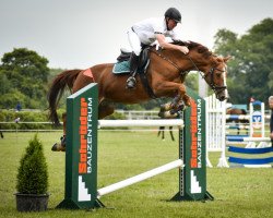 jumper Baloubea 2 (Hanoverian, 2009, from Balou du Rouet)