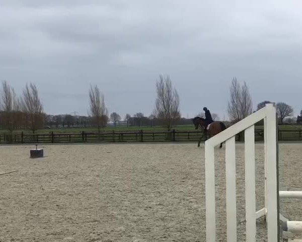Video of Del Bosco