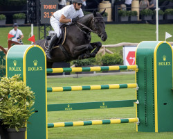 broodmare E-Maitresse Tvh Z (Zangersheide riding horse, 2012, from Emerald van 't Ruytershof)