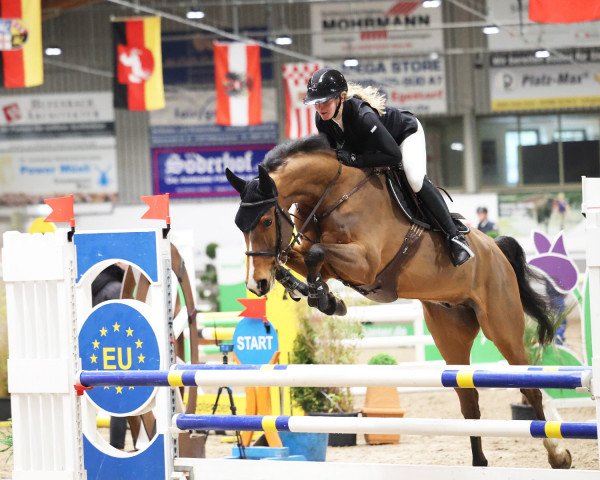 jumper Orpheus 85 (German Sport Horse, 2017, from Ogano Sitte)
