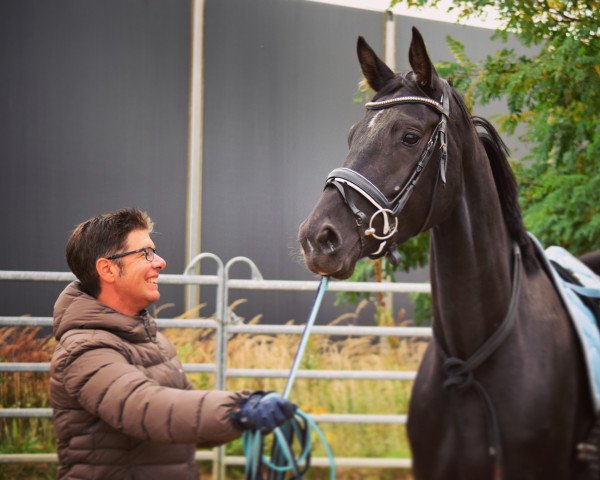 Dressurpferd Miraval (Deutsches Sportpferd, 2019, von Maracana)