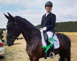 dressage horse Celine 278 (Oldenburg, 2018, from Asgard's Ibiza)