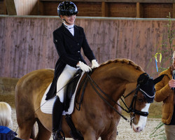 dressage horse Eclipse Osf (Hanoverian, 2007, from Briar)