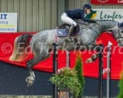 jumper Hendence (KWPN (Royal Dutch Sporthorse), 2012, from Zapatero VDL)