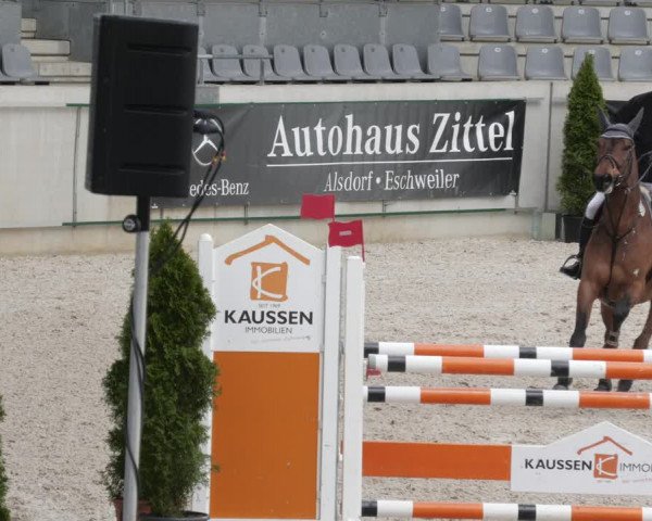 Reitturnier Aachen 2023