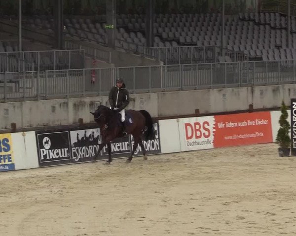 Reitturnier Westergellersen 2023