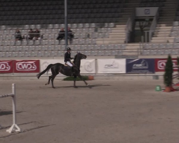 Reitturnier Aachen 2023