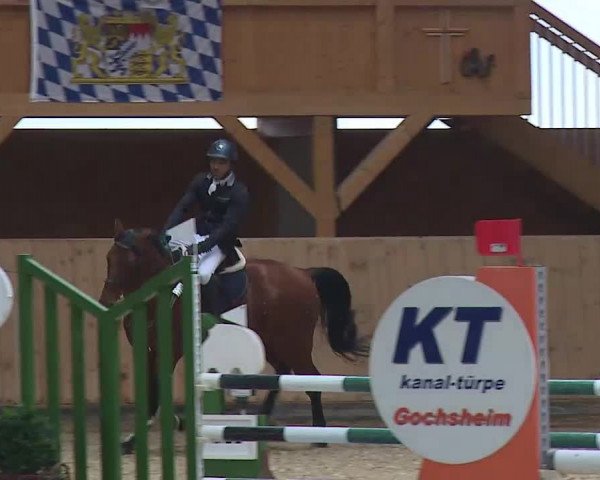 Reitturnier Grafenrheinfeld/Ufr. 2021