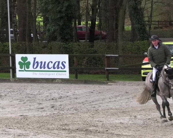 Reitturnier Klein Roscharden 2023