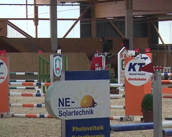 Reitturnier Grafenrheinfeld/Ufr. 2021