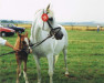 broodmare Karola (German Riding Pony, 1980, from Kasimir I)