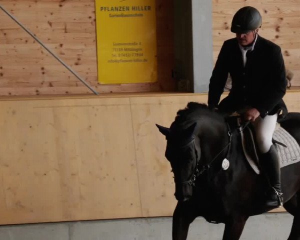 Reitturnier Herrenberg 2023