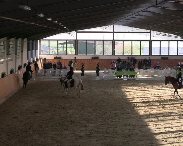 Reitturnier Werne-Lenklar 2023