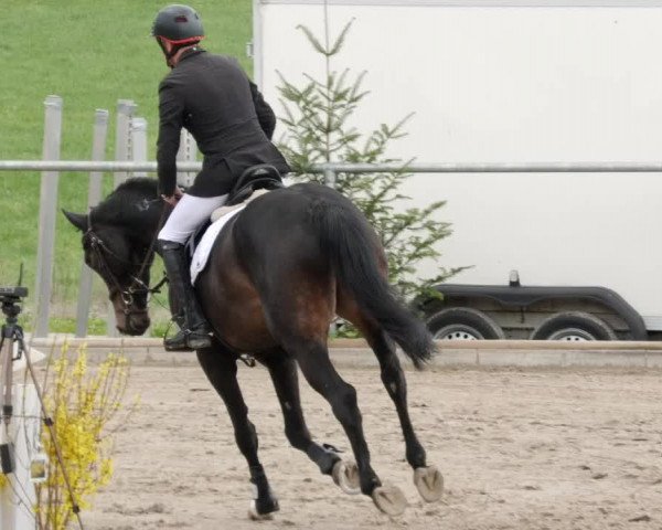 Reitturnier Herrenberg 2023