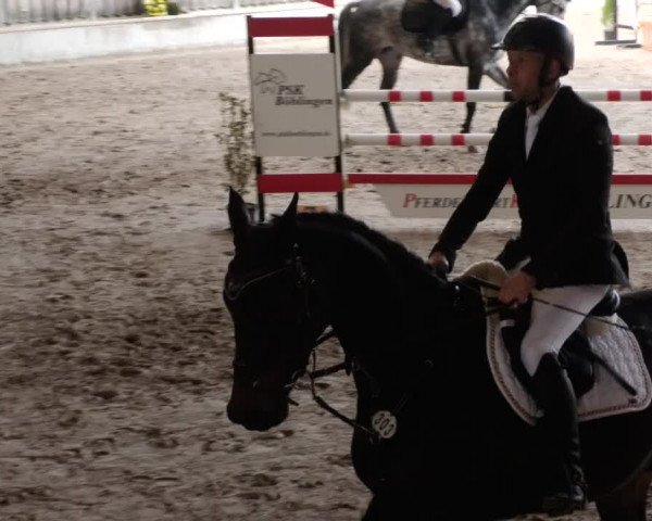 Reitturnier Herrenberg 2023