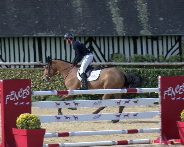Video of Gotha des Forets