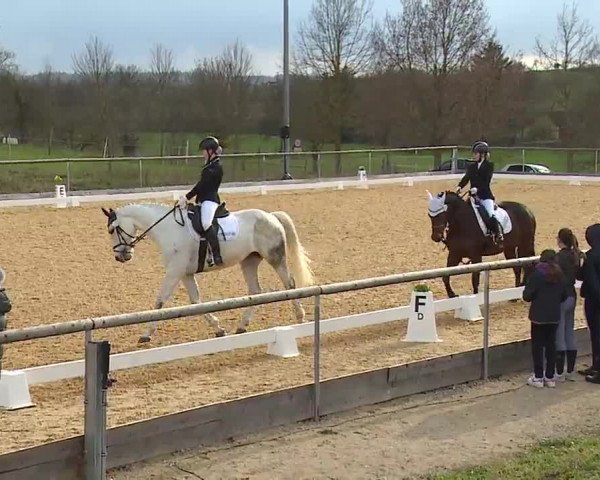 Reitturnier Altentrüdingen/Mfr. 2023
