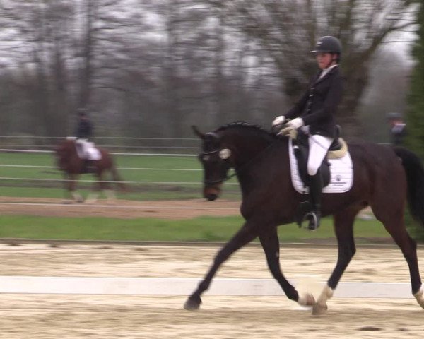 Reitturnier Wutzetz 2023