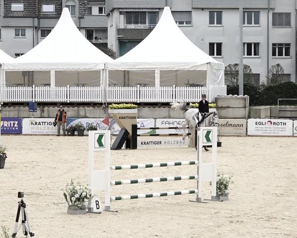 Reitturnier Amriswil 2023