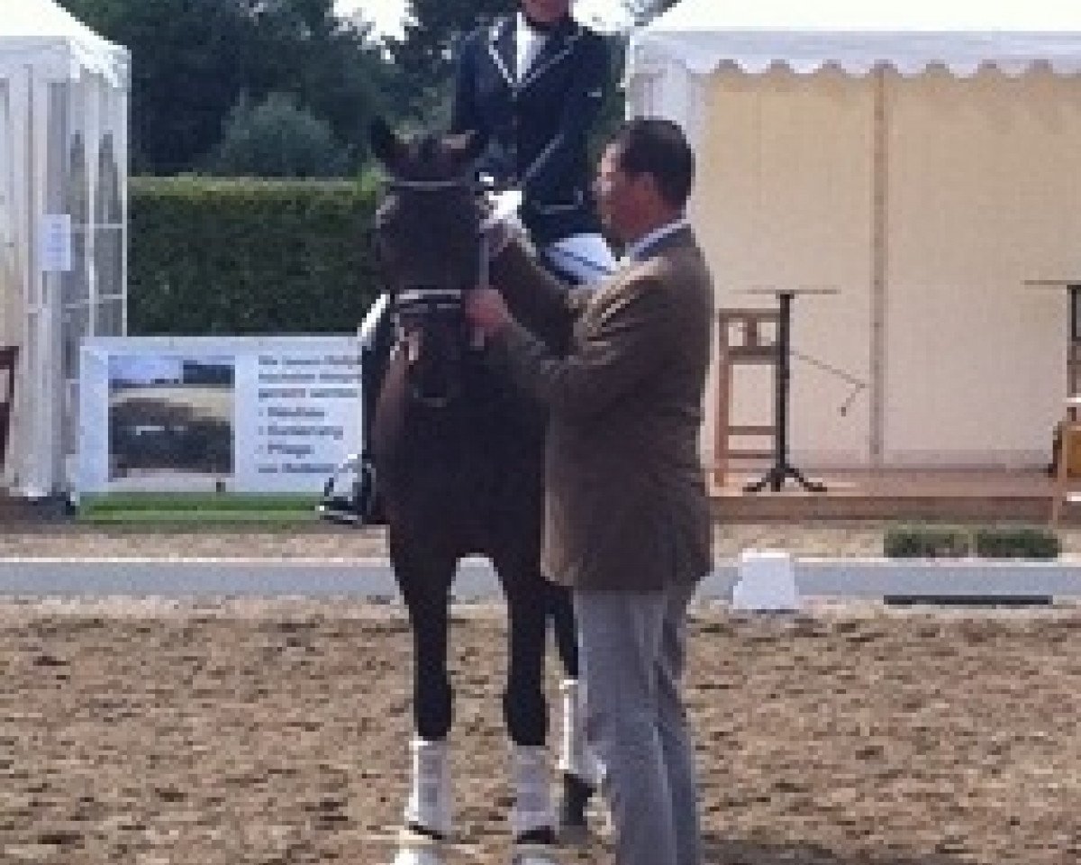 dressage horse Conen`s Chilly (Westphalian, 2012, from Conen)