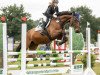 jumper Tip-Top 7 (German Sport Horse, 2003, from Troupier x)