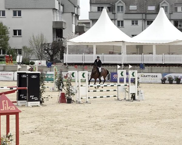 Reitturnier Amriswil 2023