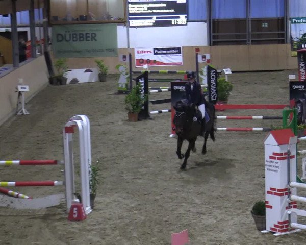 Reitturnier Borgholzhausen-Westbarthausen 2021