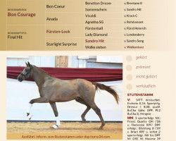 dressage horse Bloop VEC (Hanoverian, 2020, from Bon Courage 4)