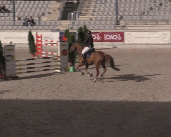 Reitturnier Aachen 2023