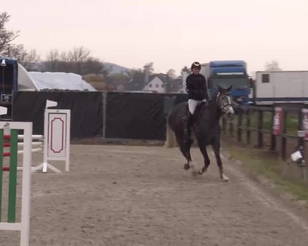 Reitturnier Poxdorf/Ofr 2023