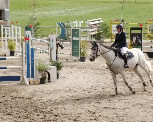 Reitturnier Herrenberg 2023