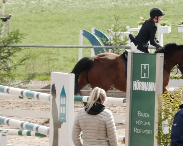 Reitturnier Herrenberg 2023