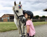 dressage horse Kelly (Welsh, 2000, from Friars Super Trooper)