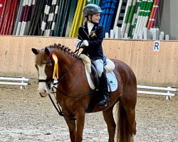 jumper Lizzy (German Riding Pony, 2013, from Baltic Dream)