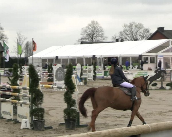 Reitturnier Werne-Lenklar 2023
