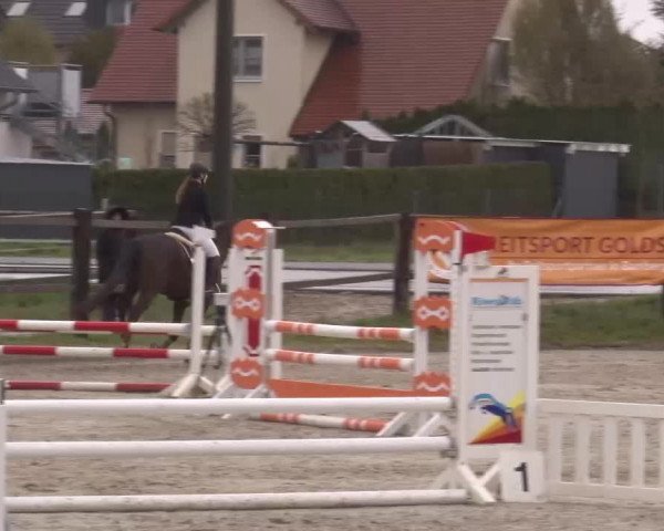 Reitturnier Poxdorf/Ofr 2023