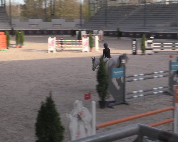 Reitturnier Aachen 2023