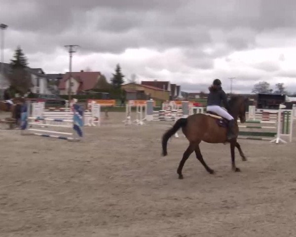Reitturnier Poxdorf/Ofr 2023