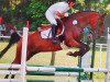 broodmare Atlantis 203 (German Riding Pony, 2003, from Silverado)