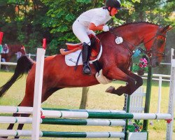 broodmare Atlantis 203 (German Riding Pony, 2003, from Silverado)