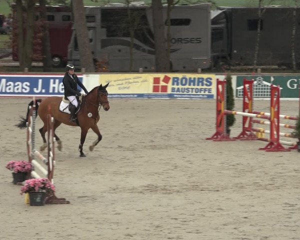 Reitturnier Westergellersen 2023