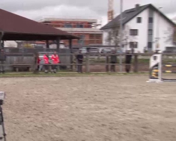 Reitturnier Poxdorf/Ofr 2023