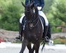 dressage horse Special Dance (Oldenburg, 2005, from Sandro Hit)