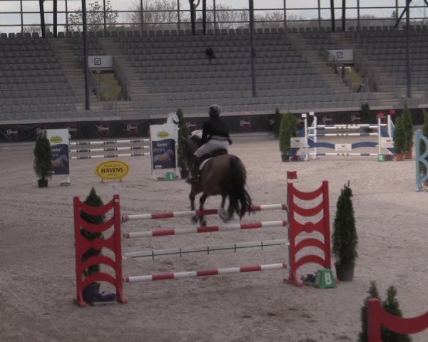 Reitturnier Aachen 2023