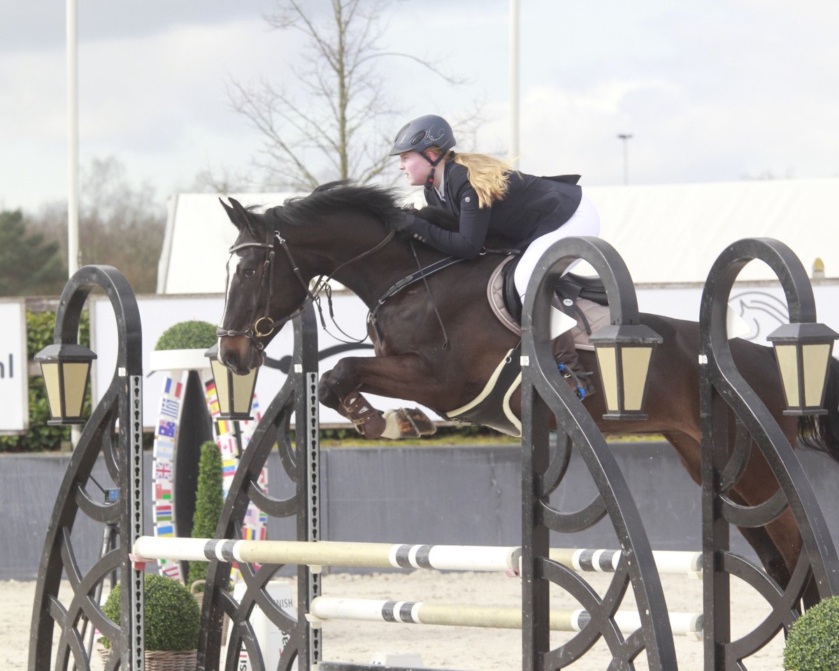 jumper Nova Libby (KWPN (Royal Dutch Sporthorse), 2018, from Chapeau Tn)